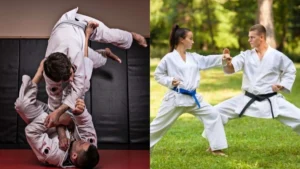 Jiu Jitsu vs other arts