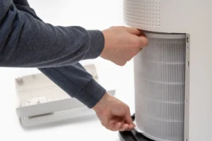 whole home air purification system