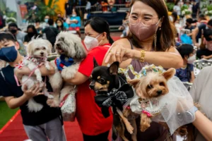 ritualistic farewell ceremonies for pets
